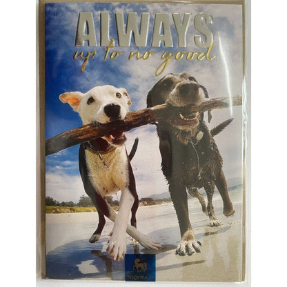 Two Dogs On Beach Friendship Card