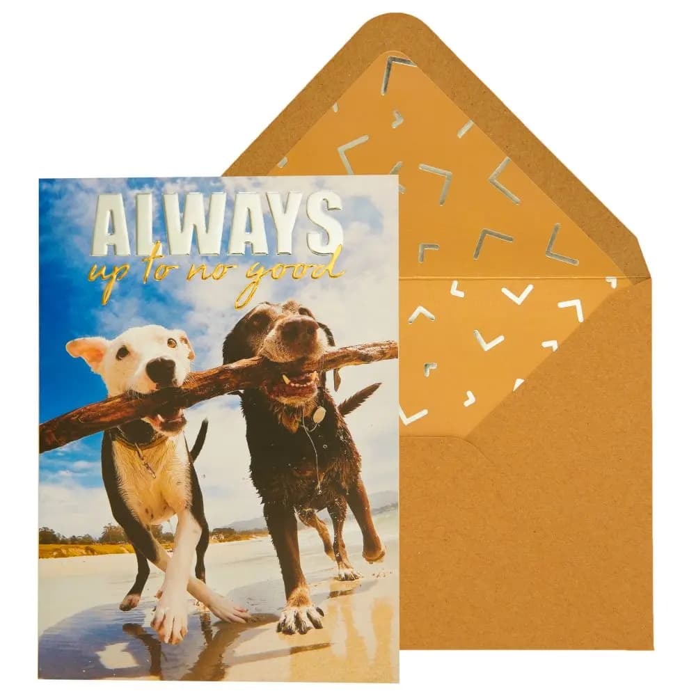 Two Dogs On Beach Friendship Card