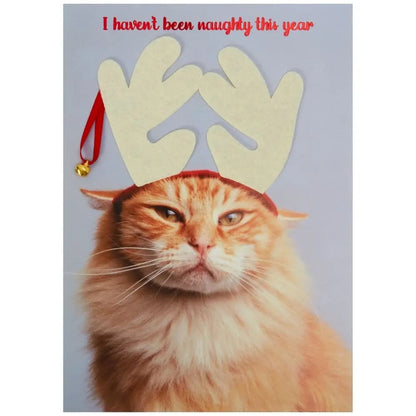 Photo Cat with Antlers Photo Christmas Card