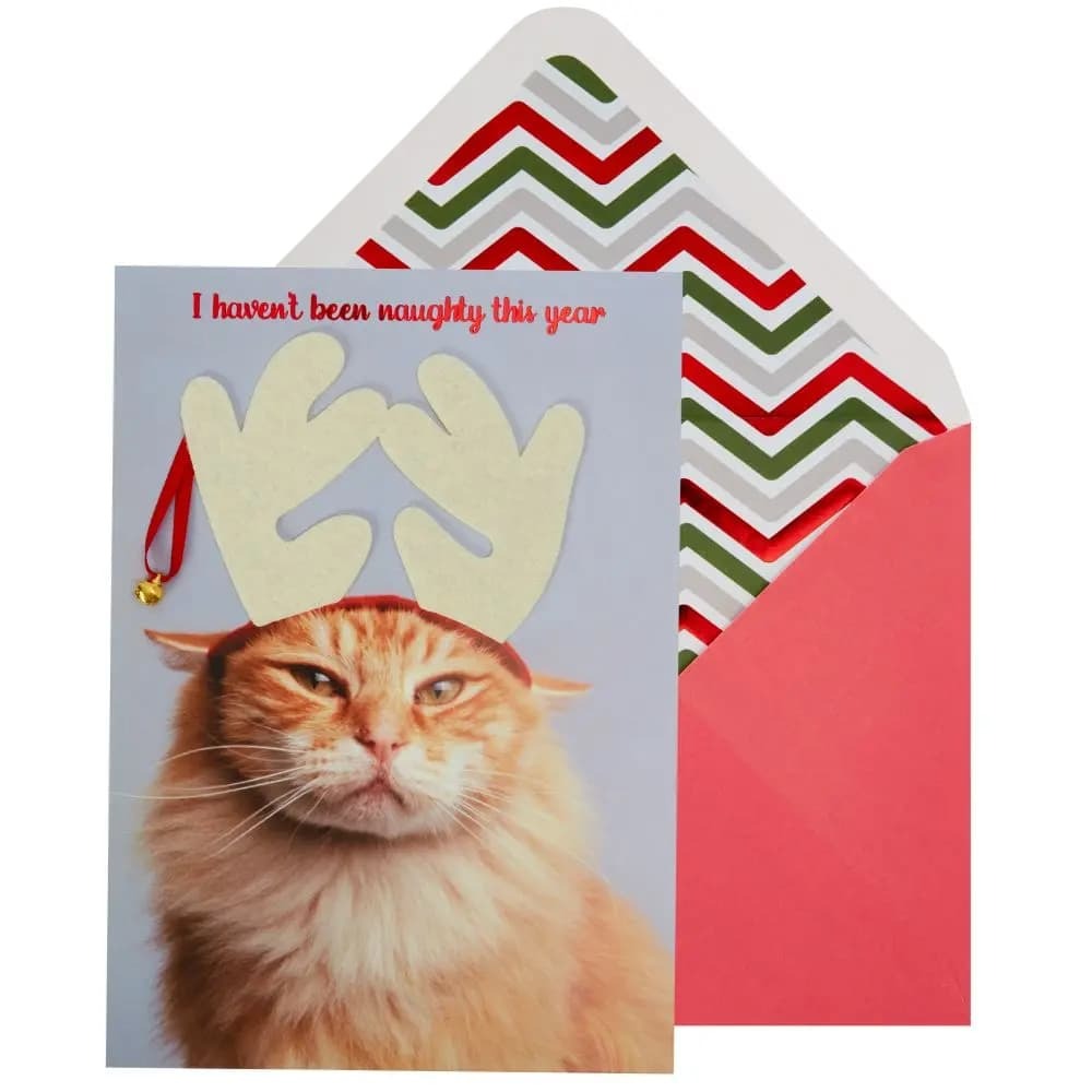 Photo Cat with Antlers Photo Christmas Card