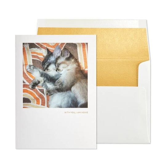 Kittens Snuggling Friendship Card