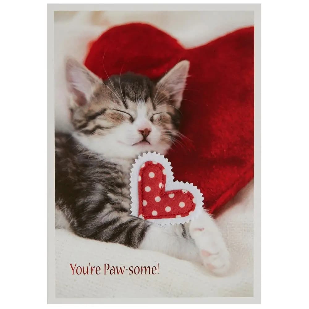 Photo Kitten And Heart Pillows Valentine's Day Card