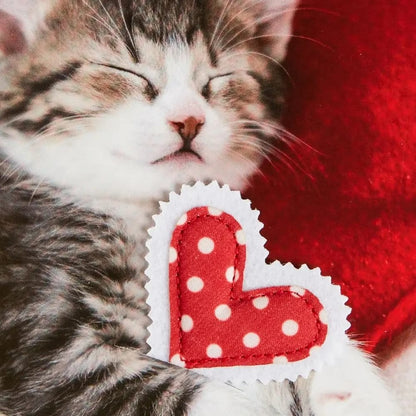 Photo Kitten And Heart Pillows Valentine's Day Card