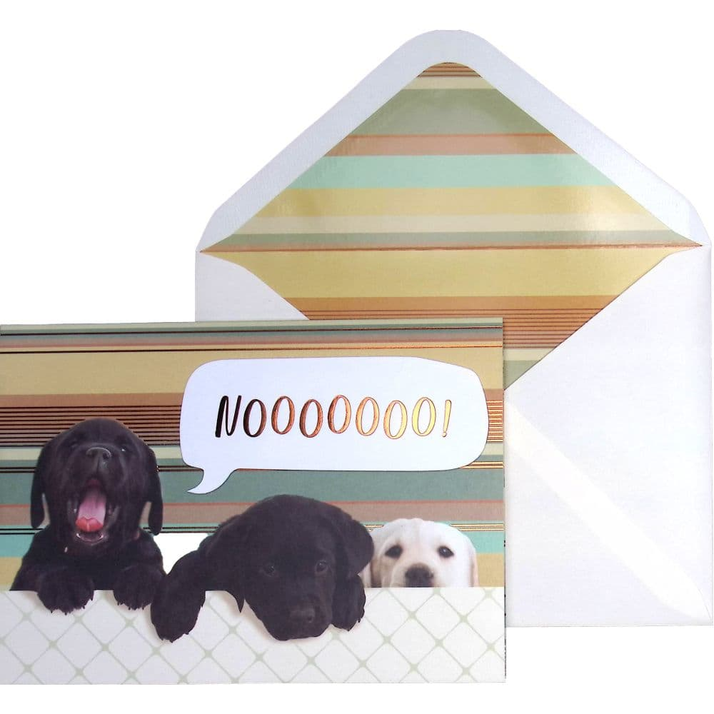 Three Puppies Friendship Card