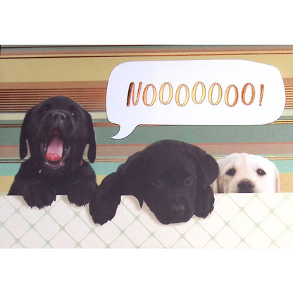 Three Puppies Friendship Card