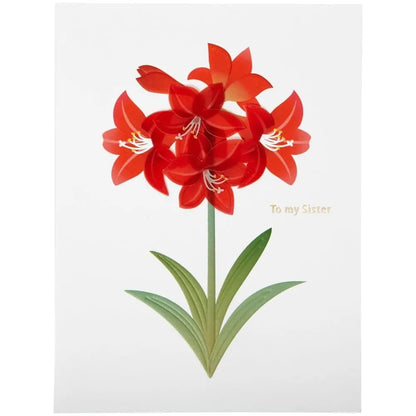 Vellum Amaryllis Christmas