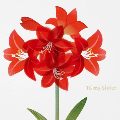 Vellum Amaryllis Christmas