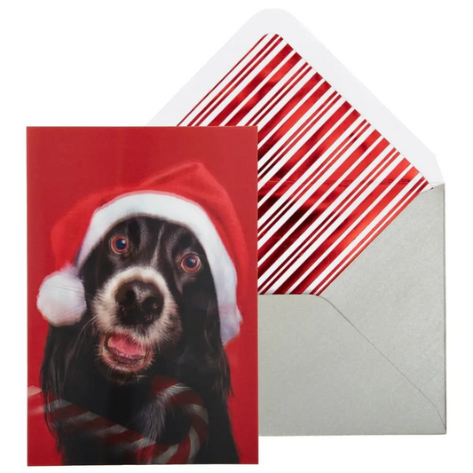 Lenticular Dog And Candy Cane Christmas Card