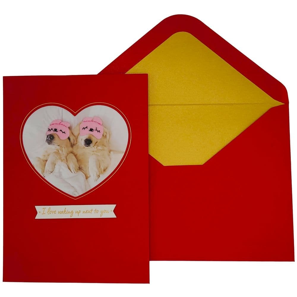 Sleeping Puppies Valentine's Day Card