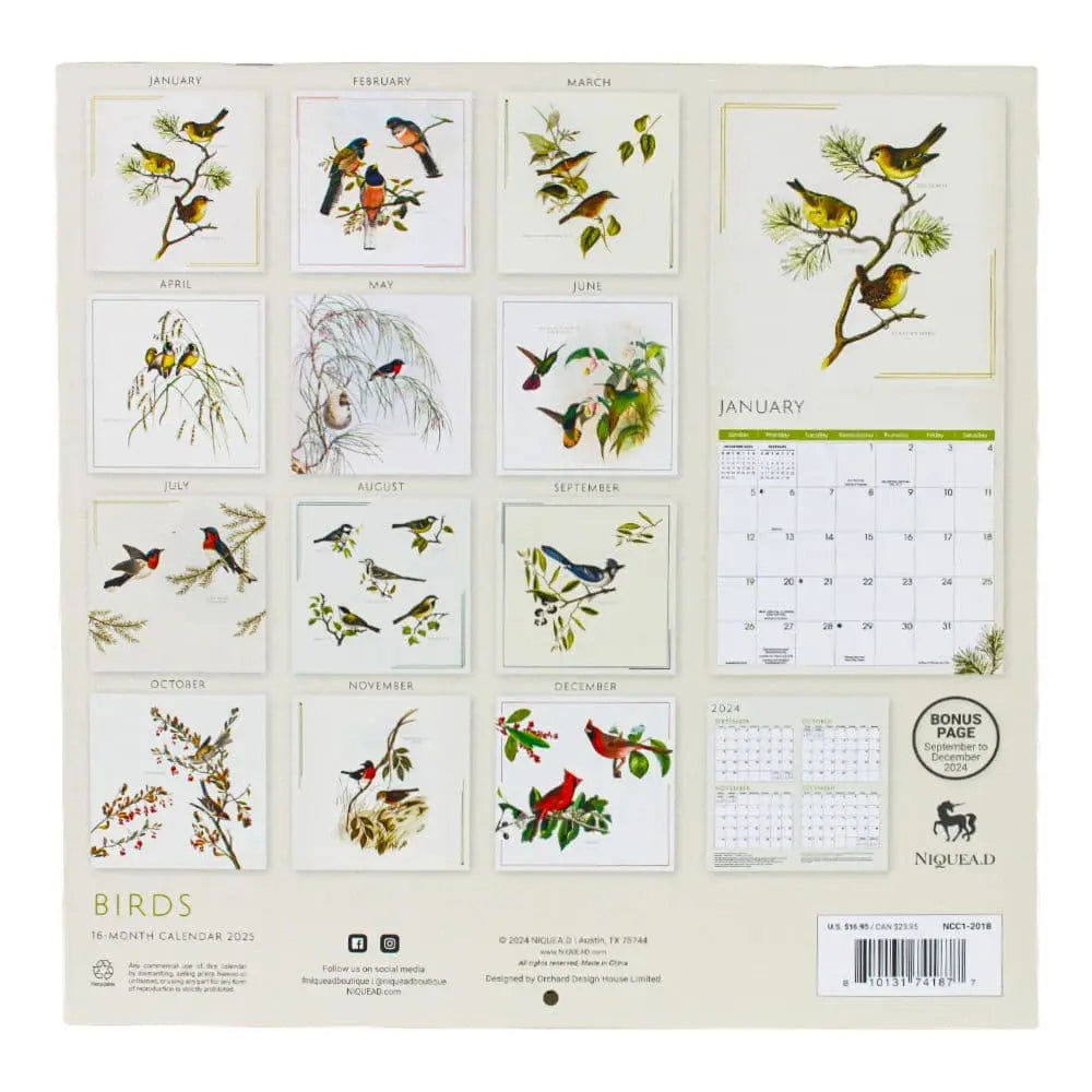 Birds 2025 Wall Calendar