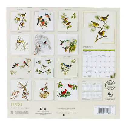 Birds 2025 Wall Calendar