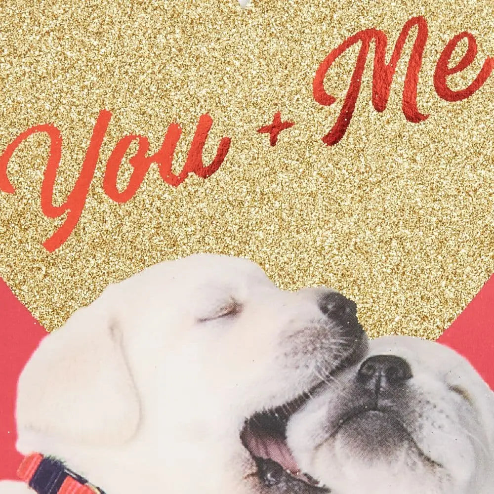 Puppy Couple Valentine's Day Card