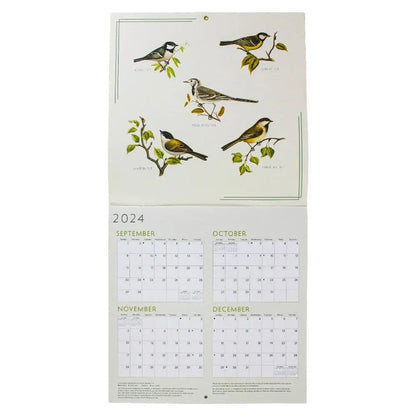 Birds 2025 Wall Calendar