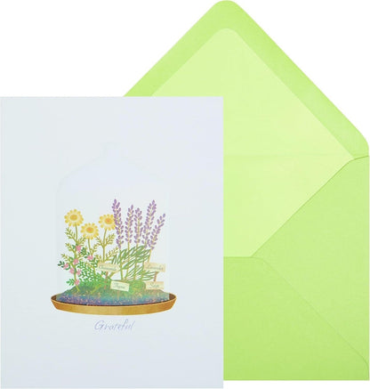 Thank You Plants Under Cloche Boxed Note Cards