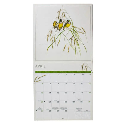 Birds 2025 Wall Calendar