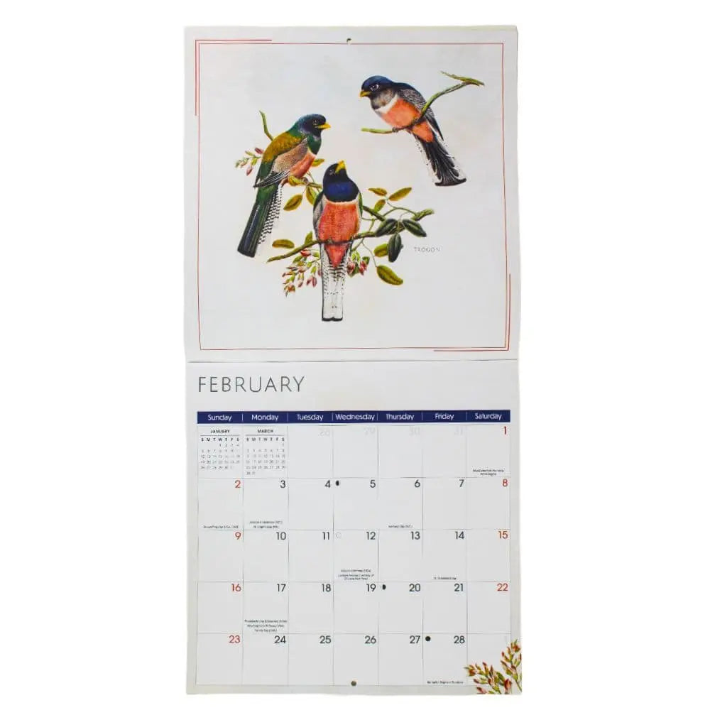 Birds 2025 Wall Calendar