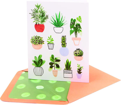 Potted Plants Boxed Note Cards