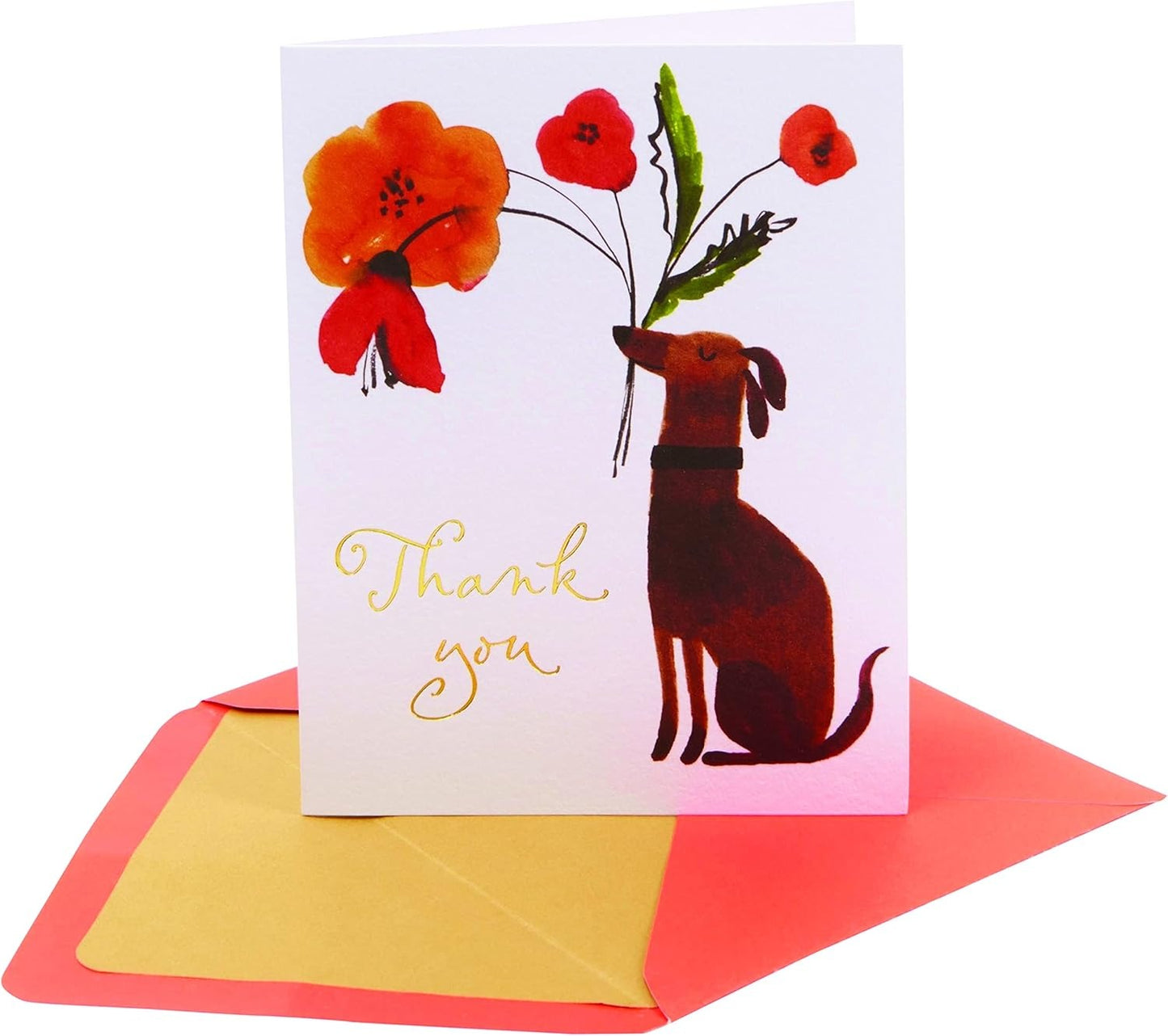 Thank You Dog Bringer Boxed Notes