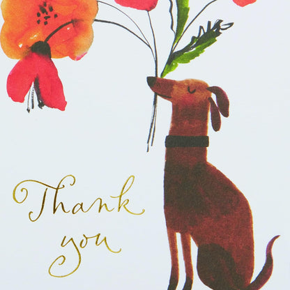 Thank You Dog Bringer Boxed Notes