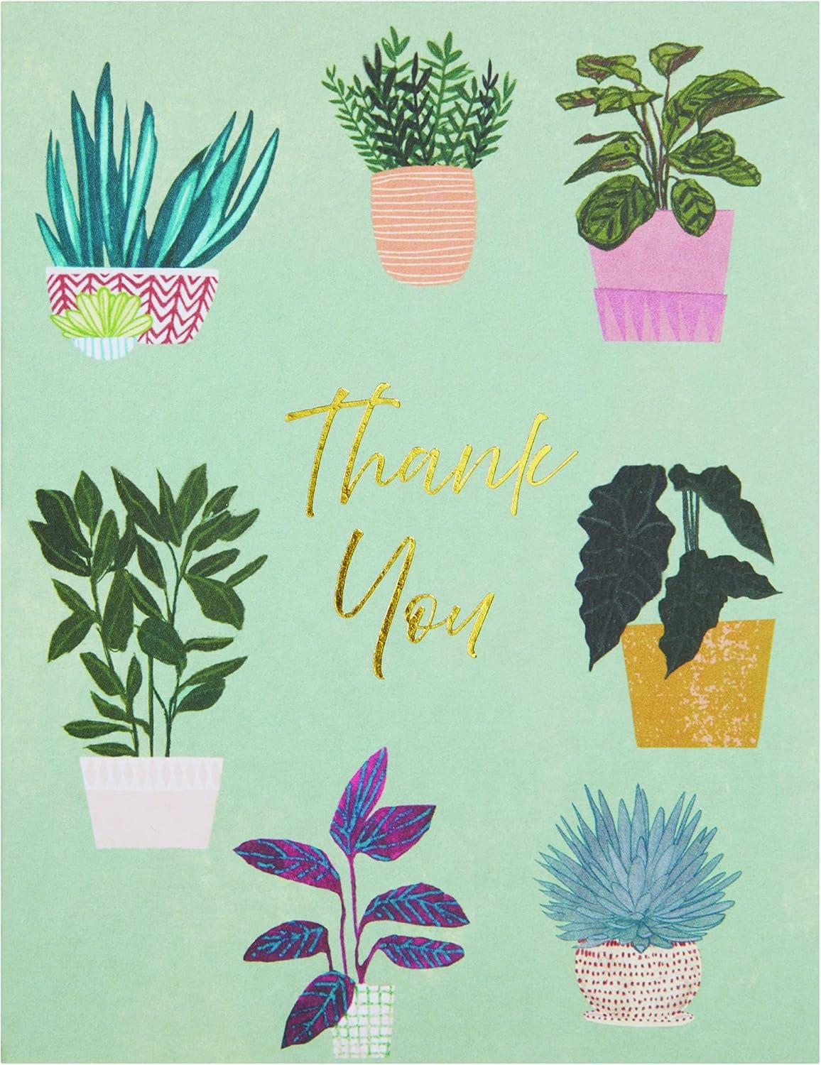 Thank You Houseplants Teal Boxed Notes