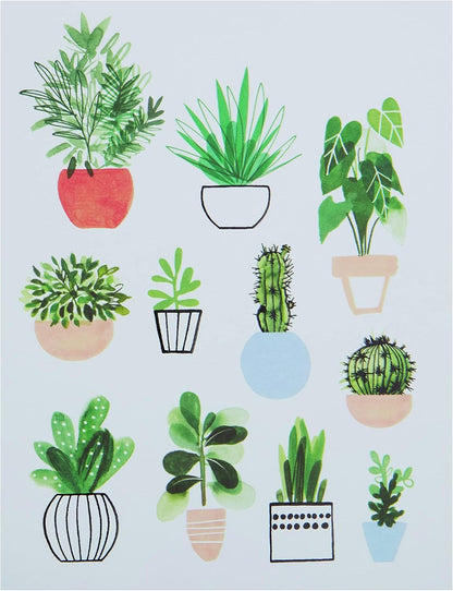 Potted Plants Boxed Note Cards