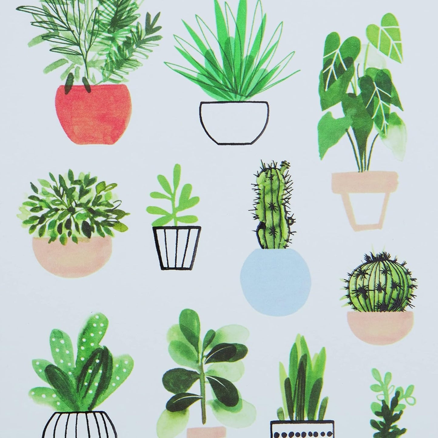 Potted Plants Boxed Note Cards