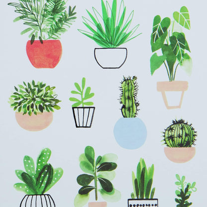 Potted Plants Boxed Note Cards