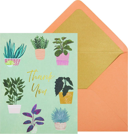 Thank You Houseplants Teal Boxed Notes