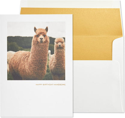 Llama Birthday Card