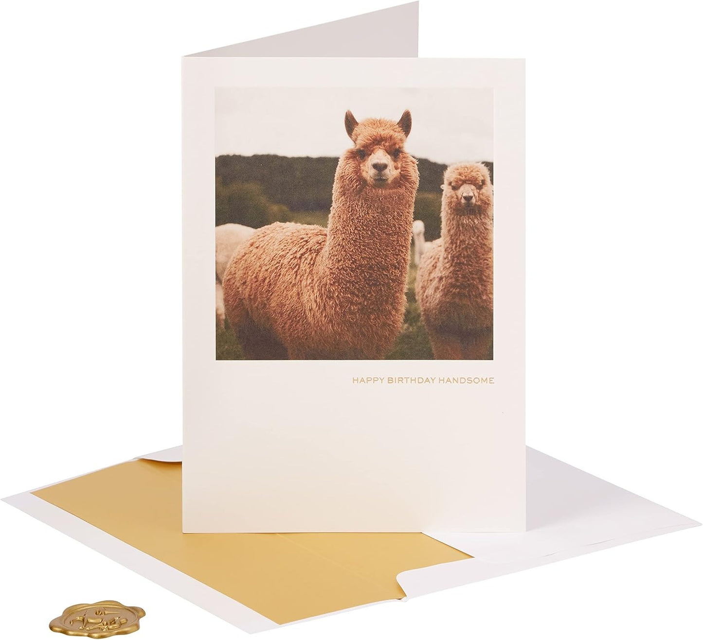 Llama Birthday Card