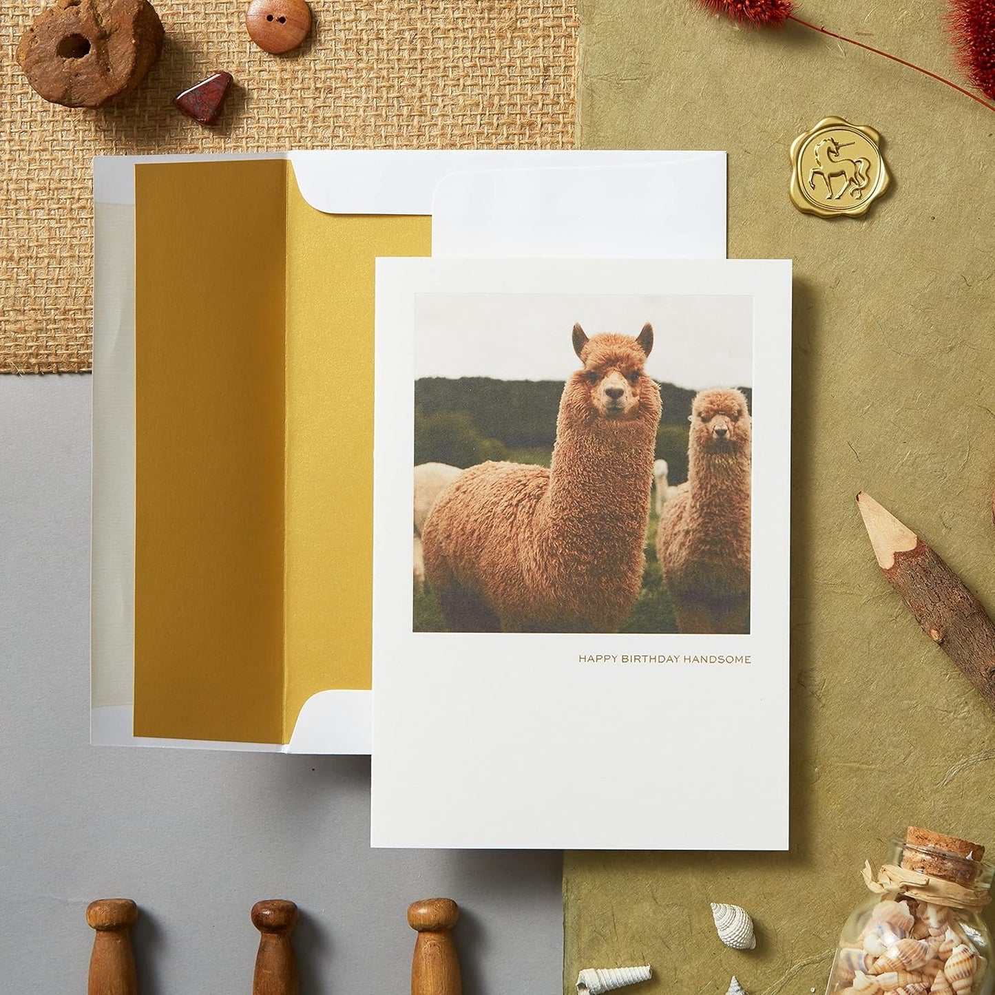 Llama Birthday Card