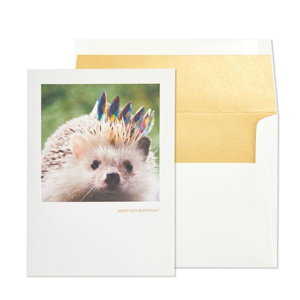 Hedgehog With Crown Birthday Card