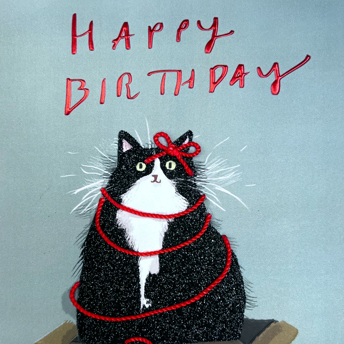 Birthday Cat Birthday Card