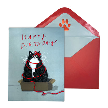 Birthday Cat Birthday Card