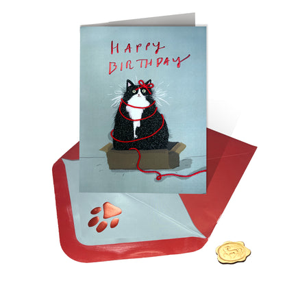 Birthday Cat Birthday Card