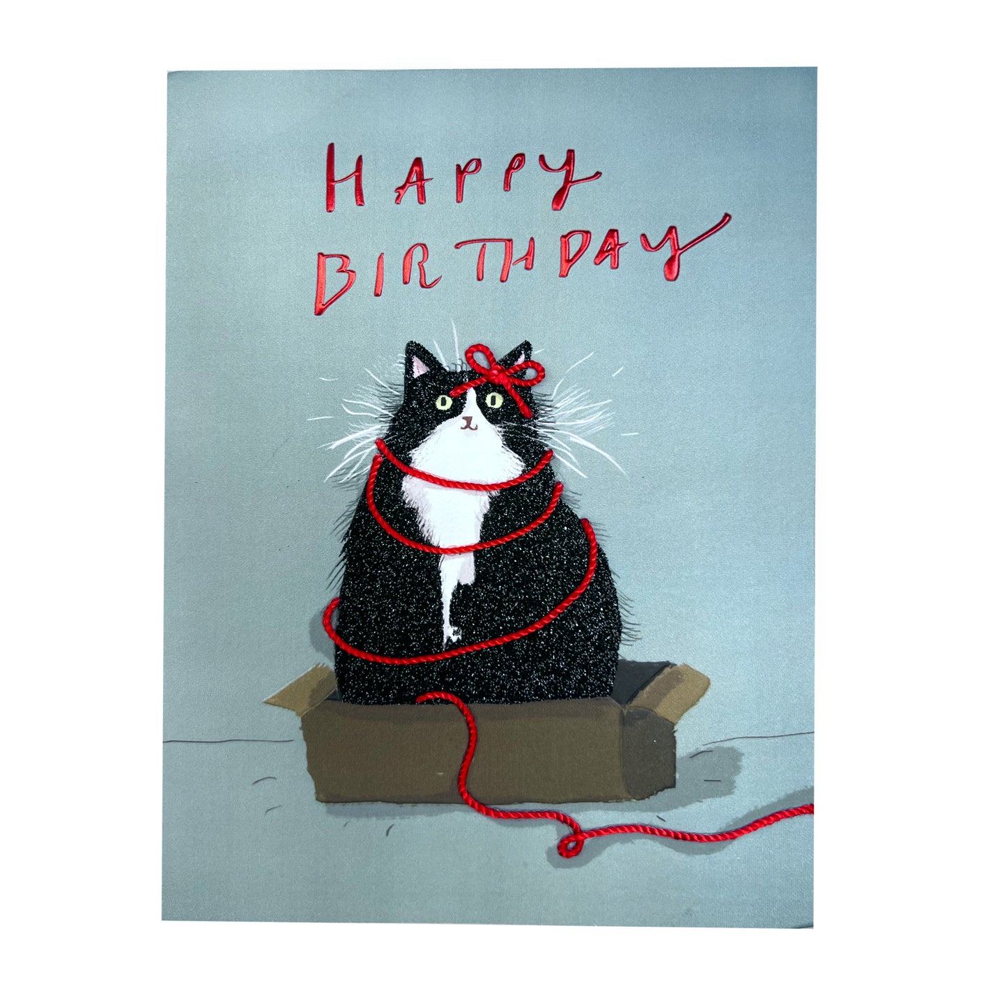 Birthday Cat Birthday Card