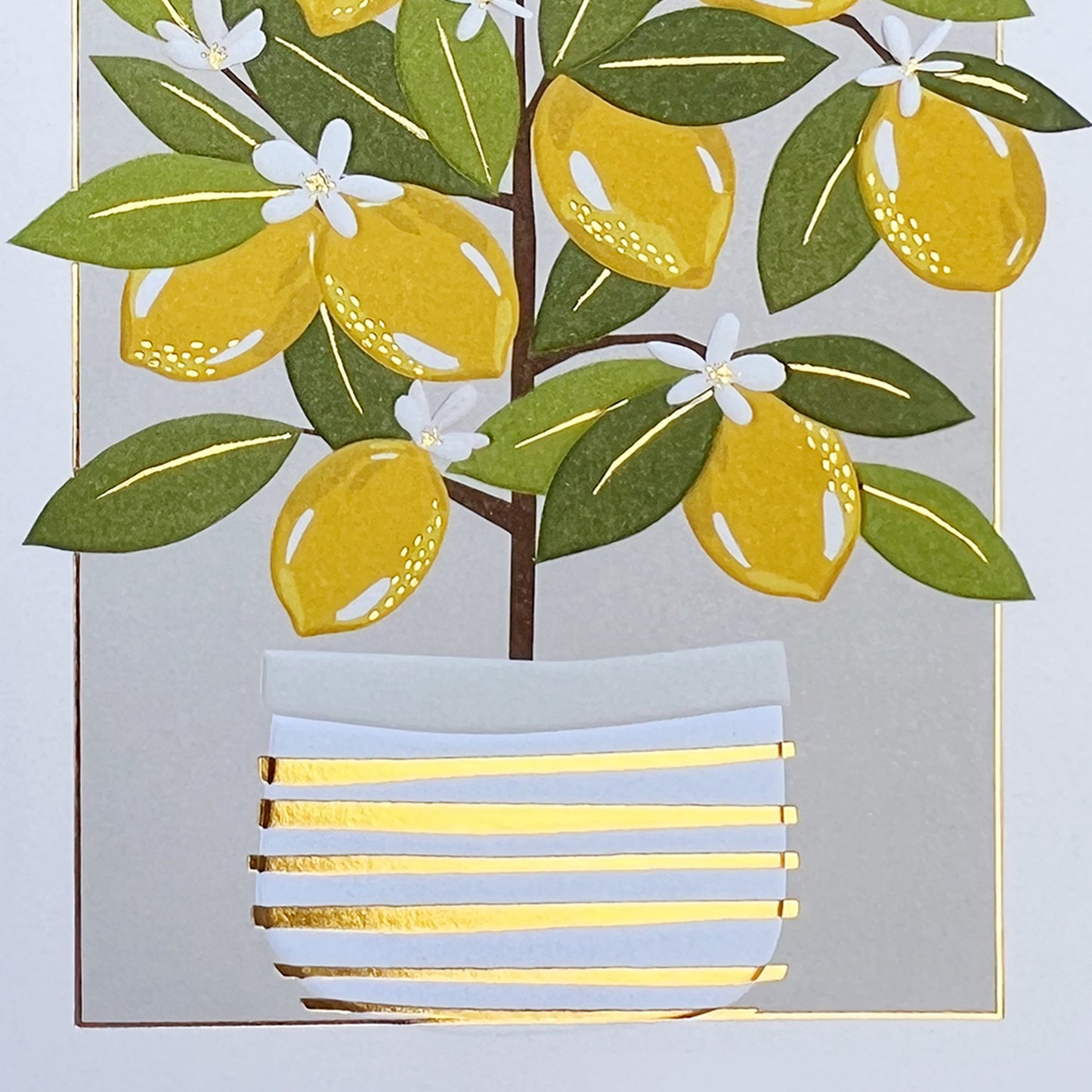 Lemon Tree Birthday Card