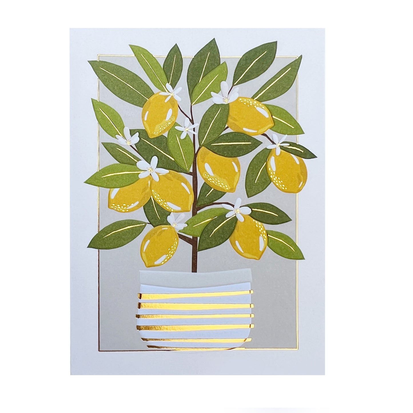 Lemon Tree Birthday Card