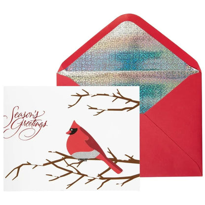 Cardinal on Branch Christmas Card