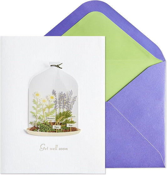 Plants in Cloche Get Well Card