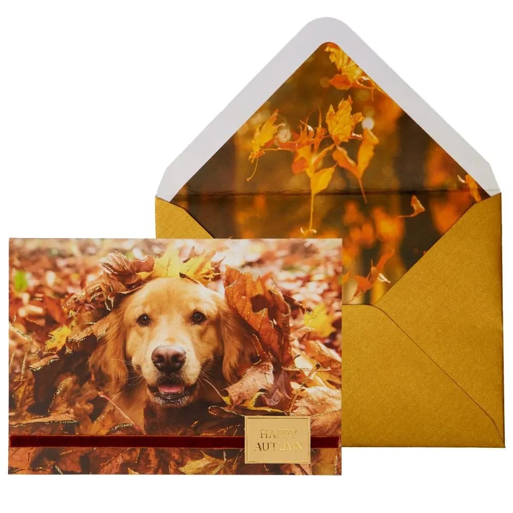 Photo Dog In Leaves Thanksgiving Card