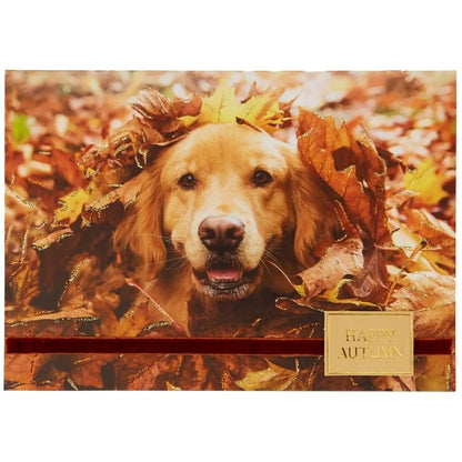 Photo Dog In Leaves Thanksgiving Card