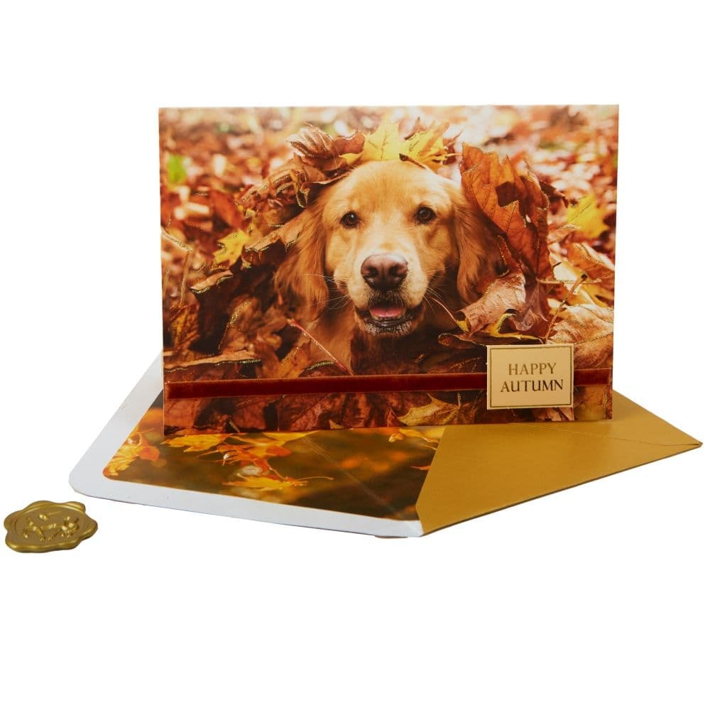 Photo Dog In Leaves Thanksgiving Card