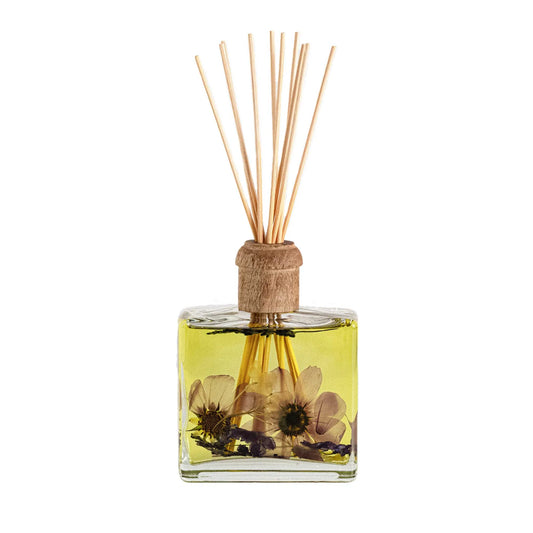 Roman Lavender Botanical Diffuser - 13oz