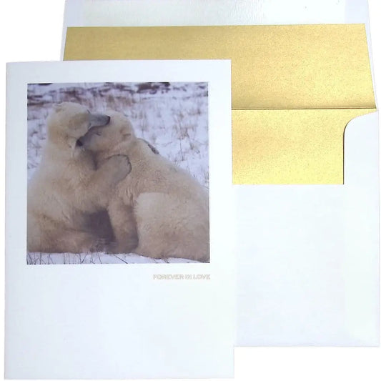 Photo Polar Bears Valentine's Day Card