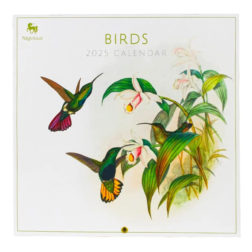 Birds 2025 Wall Calendar